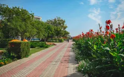 Территория