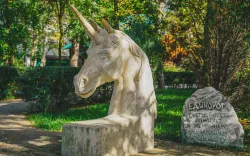 Территория