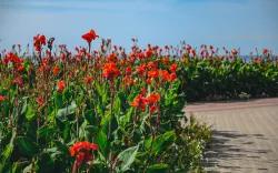 Территория