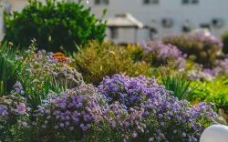 Территория