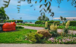 Территория