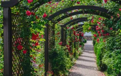 Территория