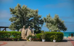 Территория