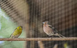 Территория