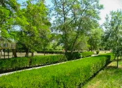 Территория