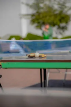 Настольный теннис