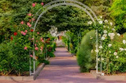 Территория