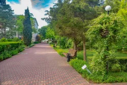 Территория