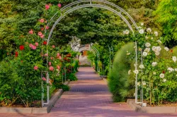 Территория