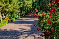 Территория