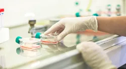 Лабораторная диагностика