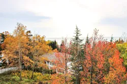 Территория