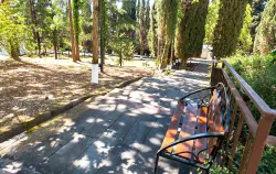 Территория