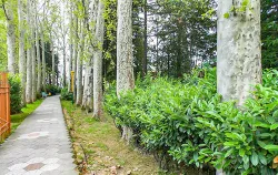 Территория