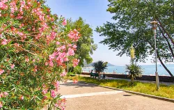 Территория