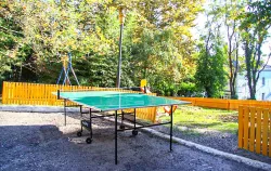 Настольный теннис