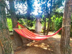 Территория