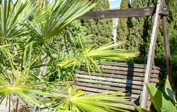 Территория