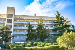 Территория