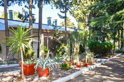 Территория