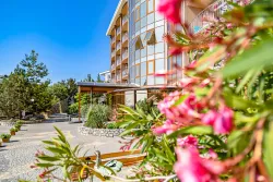 Территория