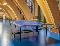 Настольный теннис