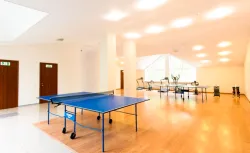 Настольный теннис